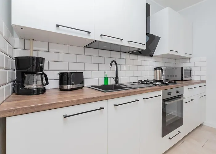 Aaa-apartment Kosciuszki By Renters 公寓